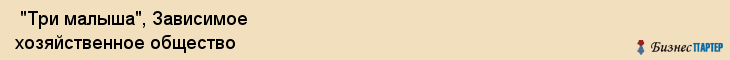  "Три малыша", Зависимое хозяйственное общество , Самара