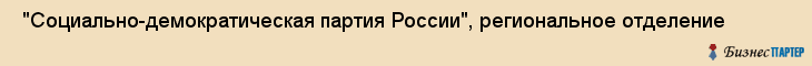  "Социально-демократическая партия России", региональное отделение , Самара