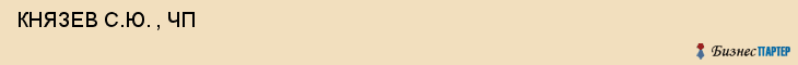  КНЯЗЕВ С.Ю. , ЧП , Самара