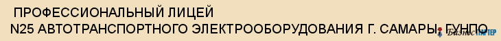  ПРОФЕССИОНАЛЬНЫЙ ЛИЦЕЙ N25 АВТОТРАНСПОРТНОГО ЭЛЕКТРООБОРУДОВАНИЯ Г. САМАРЫ, ГУНПО , Самара