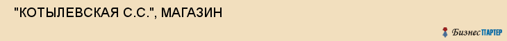  "КОТЫЛЕВСКАЯ С.С.", МАГАЗИН , Самара