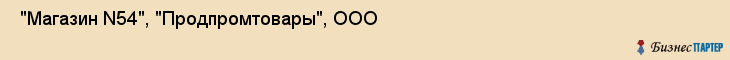  "Магазин N54", "Продпромтовары", ООО , Самара