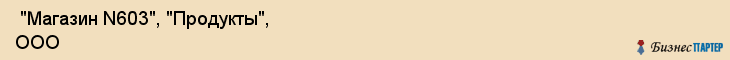  "Магазин N603", "Продукты", ООО , Самара