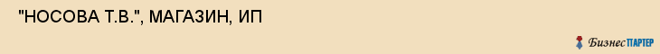  "НОСОВА Т.В.", МАГАЗИН, ИП , Самара