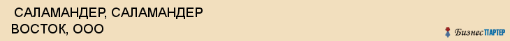  САЛАМАНДЕР, САЛАМАНДЕР ВОСТОК, ООО , Самара