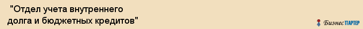  "Отдел учета внутреннего долга и бюджетных кредитов" , Самара